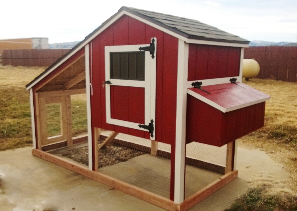 Chicken Coops built to withstand Colorado wind and snow